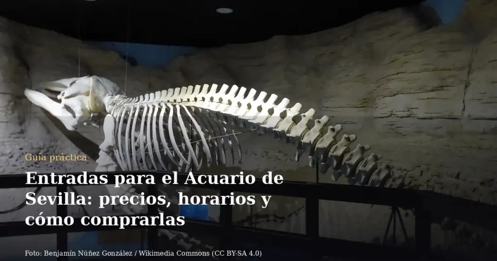 Entradas para el Acuario de Sevilla: precios, horarios y cómo comprarlas